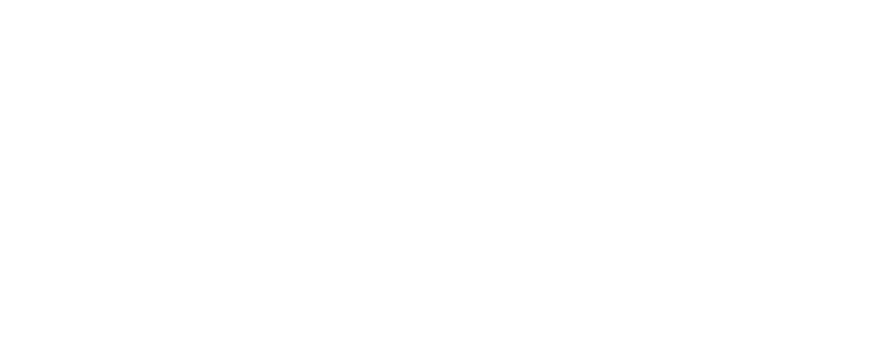 Interra Systems